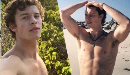 Shawn Mendes exibindo o corpin