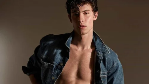 Os fãs de Shawn Mendes apront
