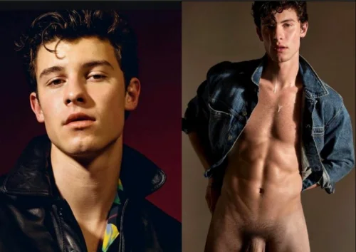 Sem limites, fãs de Shawn Men