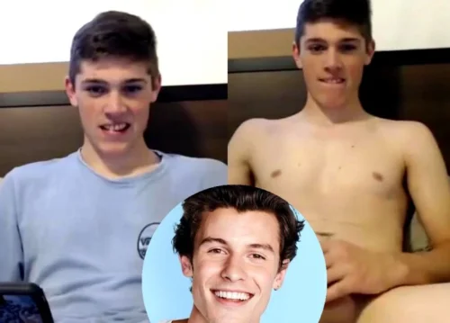 Vídeo: Fã de Shawn Mendes é