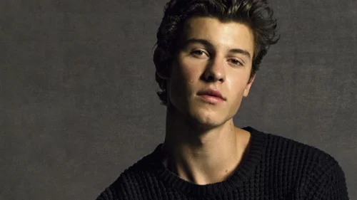 Shawn Mendes encanta em foto s