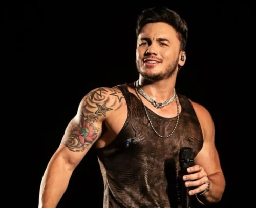 Sertanejo Wallas Arrais causa 