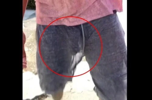 Não posso mentir, melhor do q