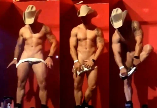 Todo Show Sertanejo deveria co