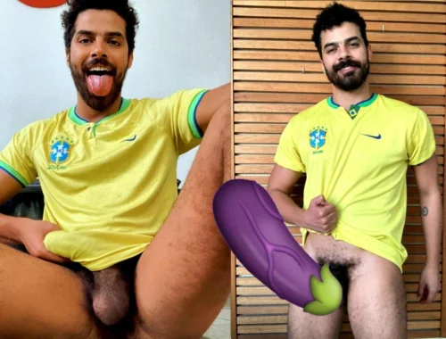 Você precisa conhecer o Gogo 