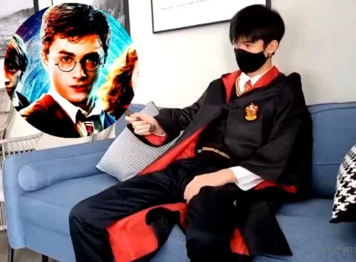 Fãs de Harry Potter corre aqu