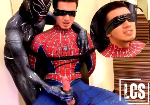 AranhaGato Japa o Super Herói