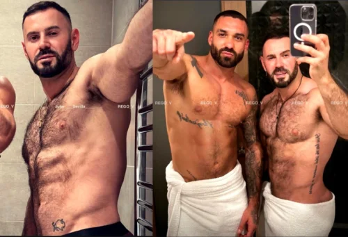 Novo Casal Urso queridinho do 